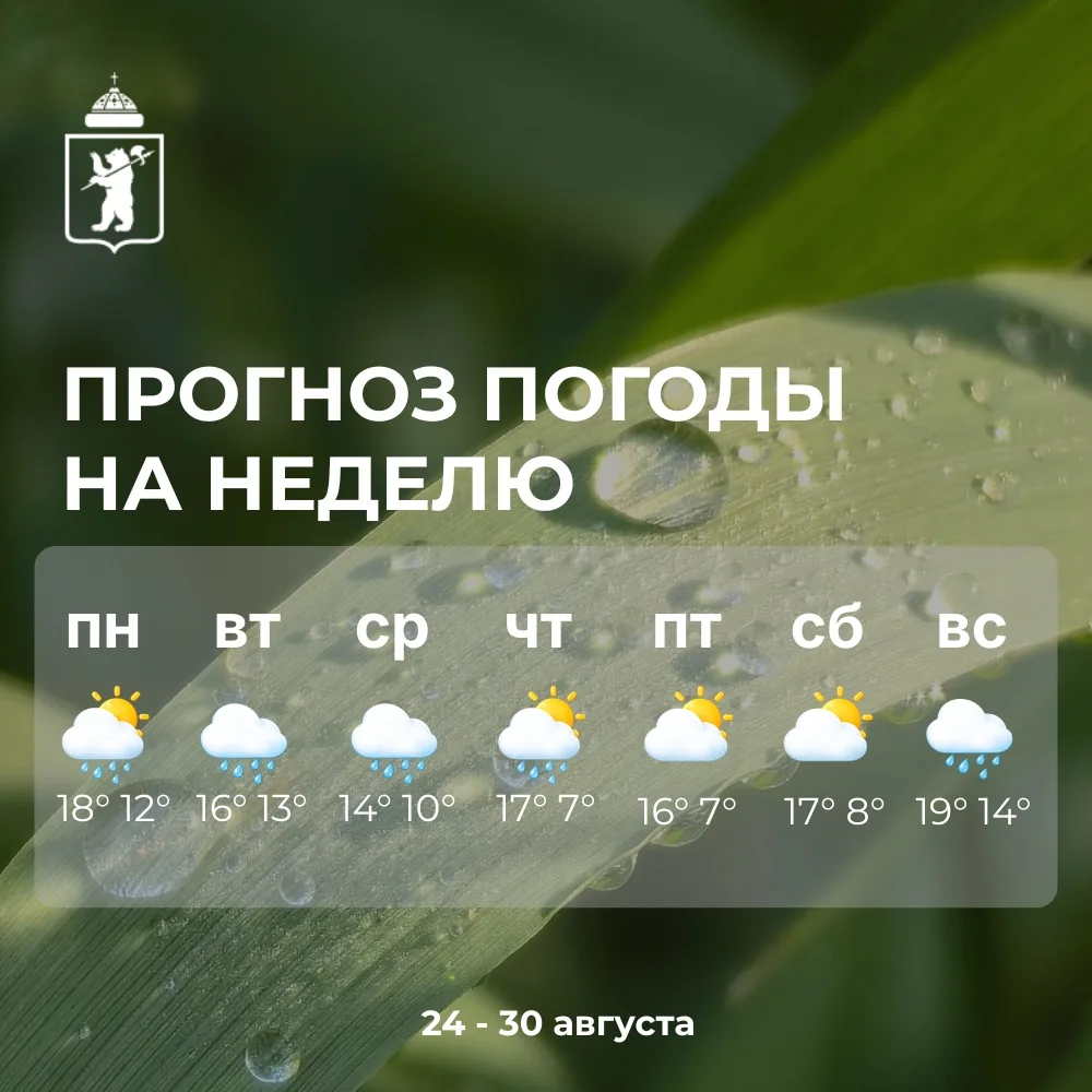 🌤️ Доброе утро, жители района!
