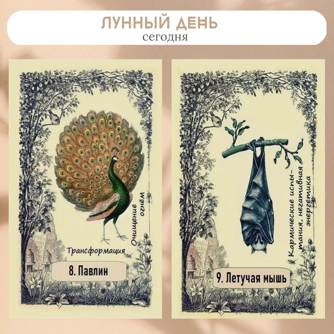 Сегодня 23 июня 2026, 8-9 лунный день.

🌙 Растущая луна. Луна в знаке Весы. Подходящее время для от