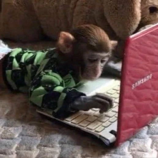 Овер че то ищет в компуктере 🤨