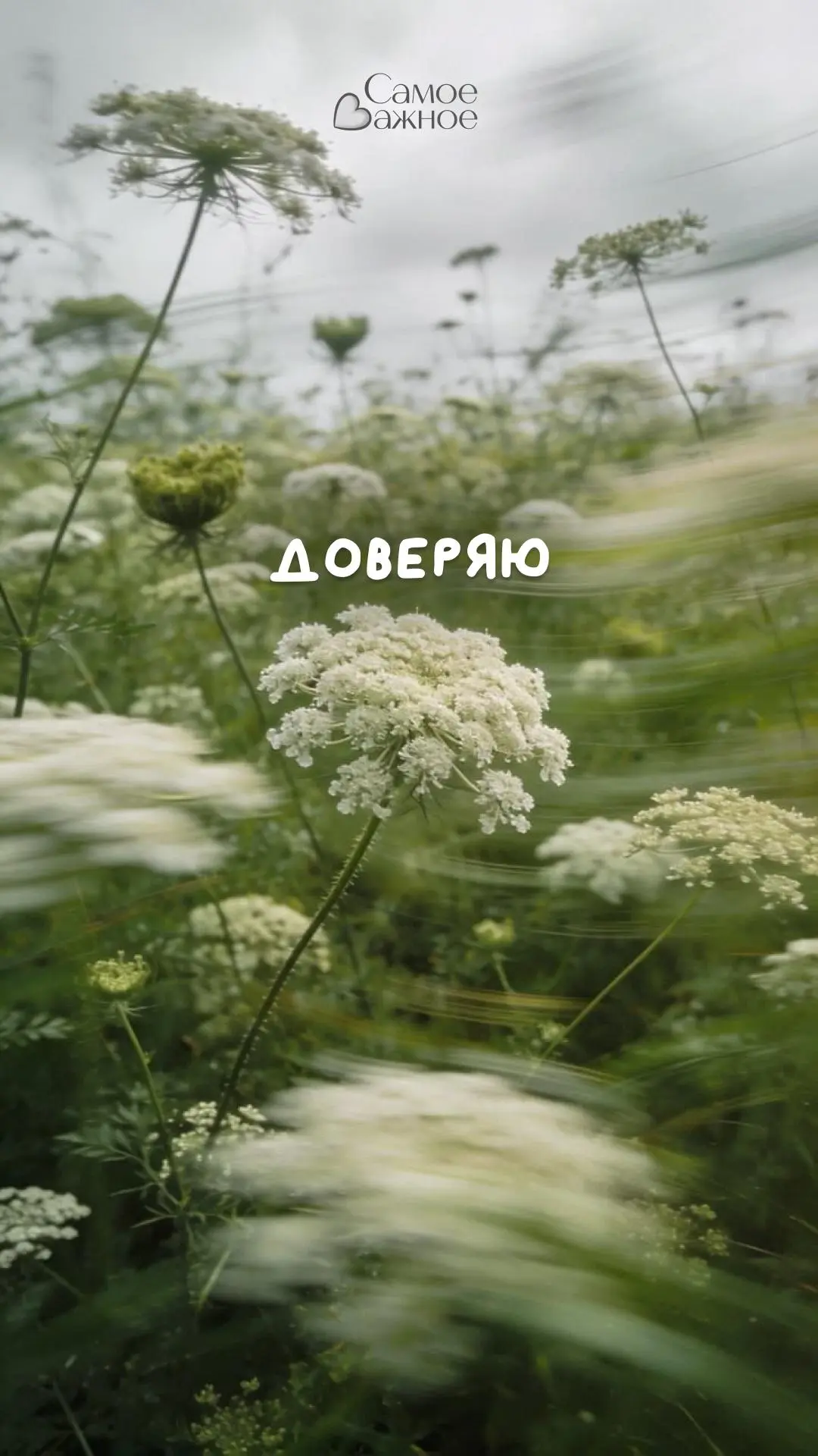 Рецепты-напоминания ❤