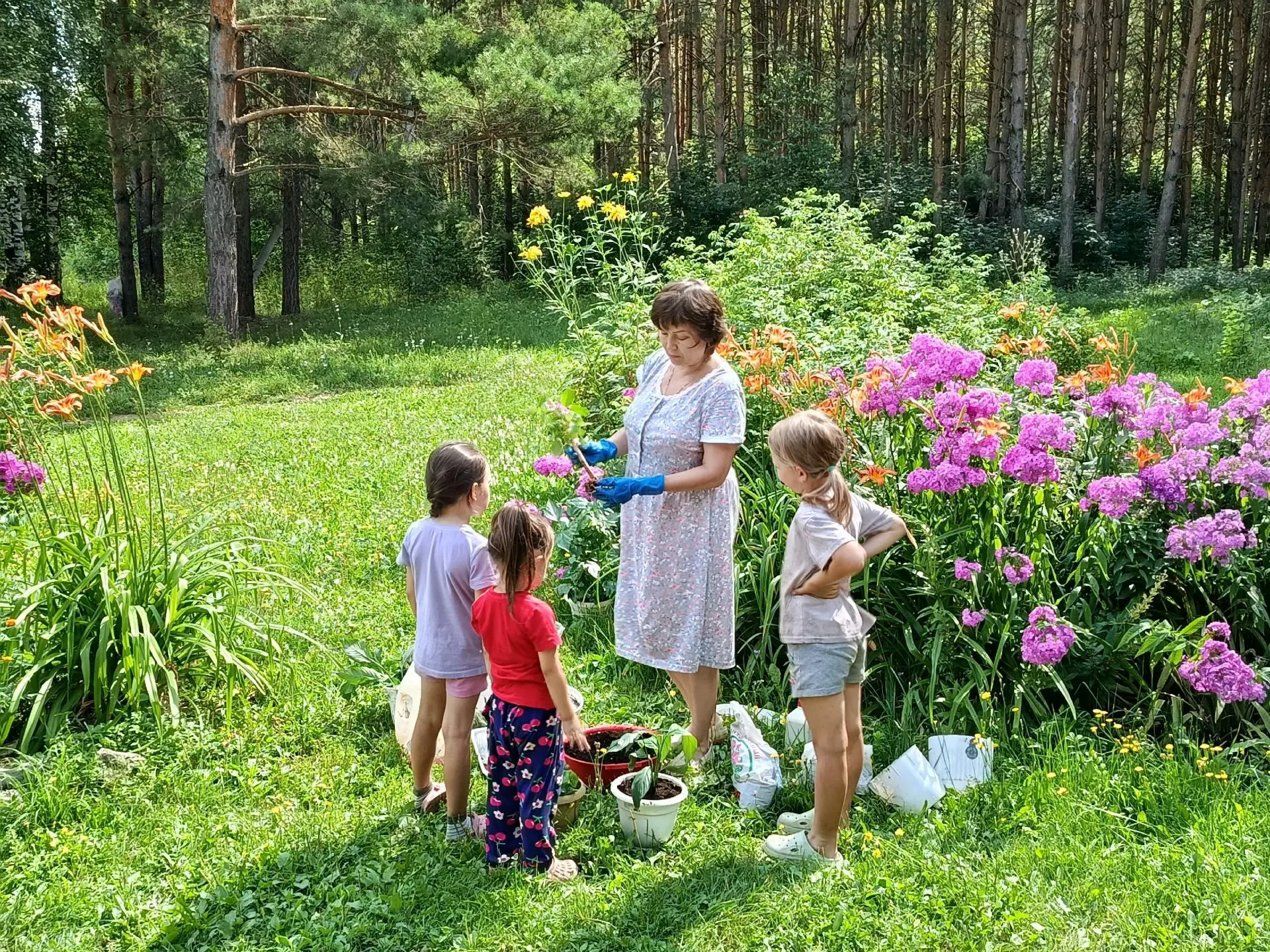 «Лаборатория юного ботаника»: как мы с ребятами раскрывали тайны корней! 🌿

В Библиодворике Сысоевс