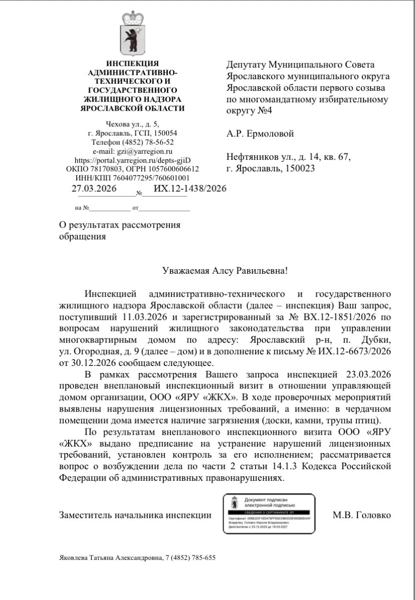 Антисанитария над головой: в чердаке дома в Дубках — трупы птиц и мусор