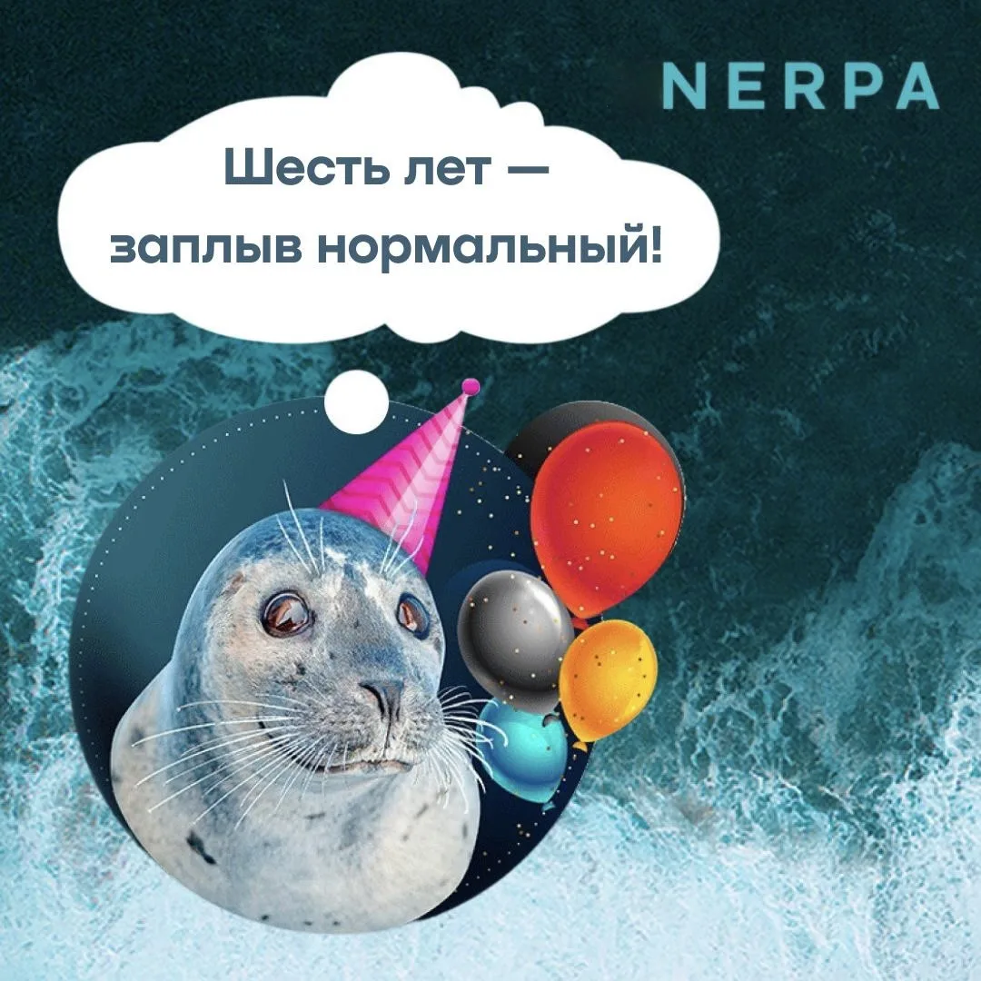 Наша замечательная и горячо любимая Nerpa отмечает день рождения! Сегодня компании испо...