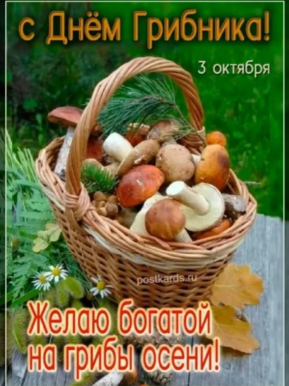 3 oктябpя - Дeнь гpибника