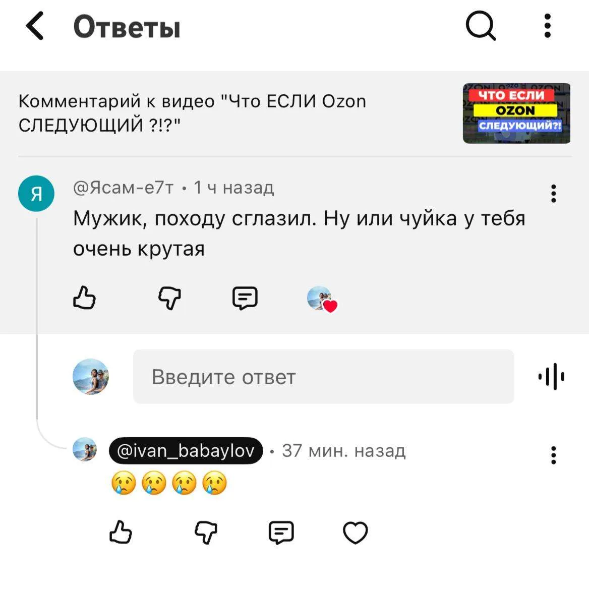 В пятницу выложил ролик на YouTube на тему «Что ЕСЛИ OZON СЛЕДУЮЩИЙ»