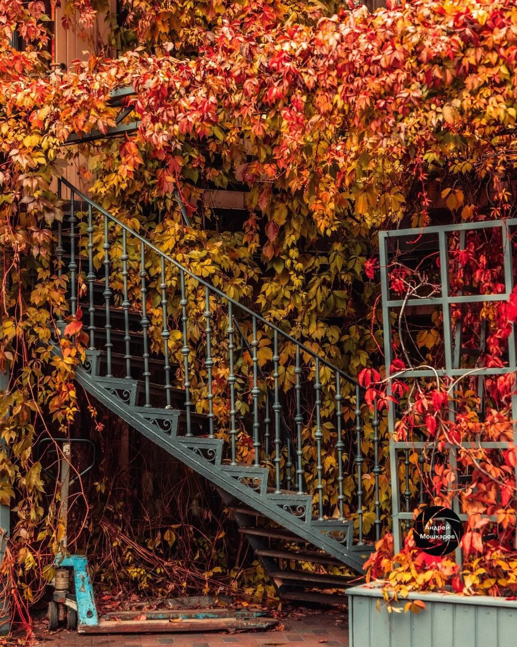 🍂 Осенний Тифлисский дворик