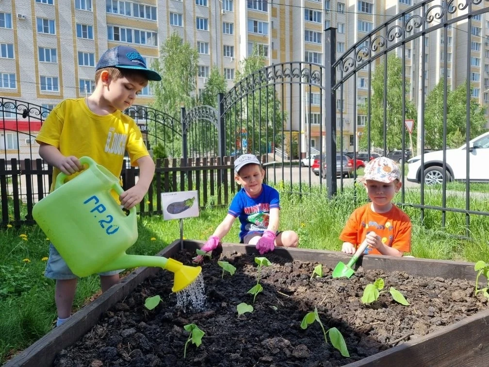 🌱🍅🌱 Наш весёлый огород: первые шаги юных агрономов