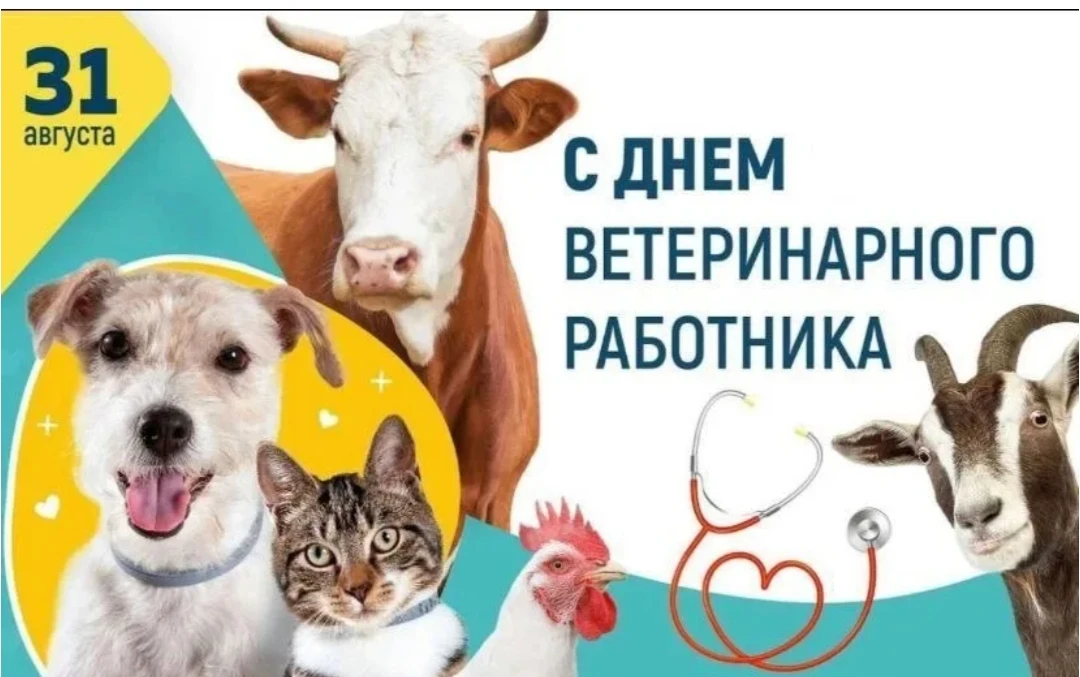 🧐 Что отмечают 31 августа?