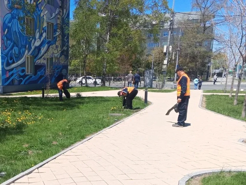 🌷 Южный готовится к лету  Коммунальные службы продолжают приводить в порядок скверы и общественные п
