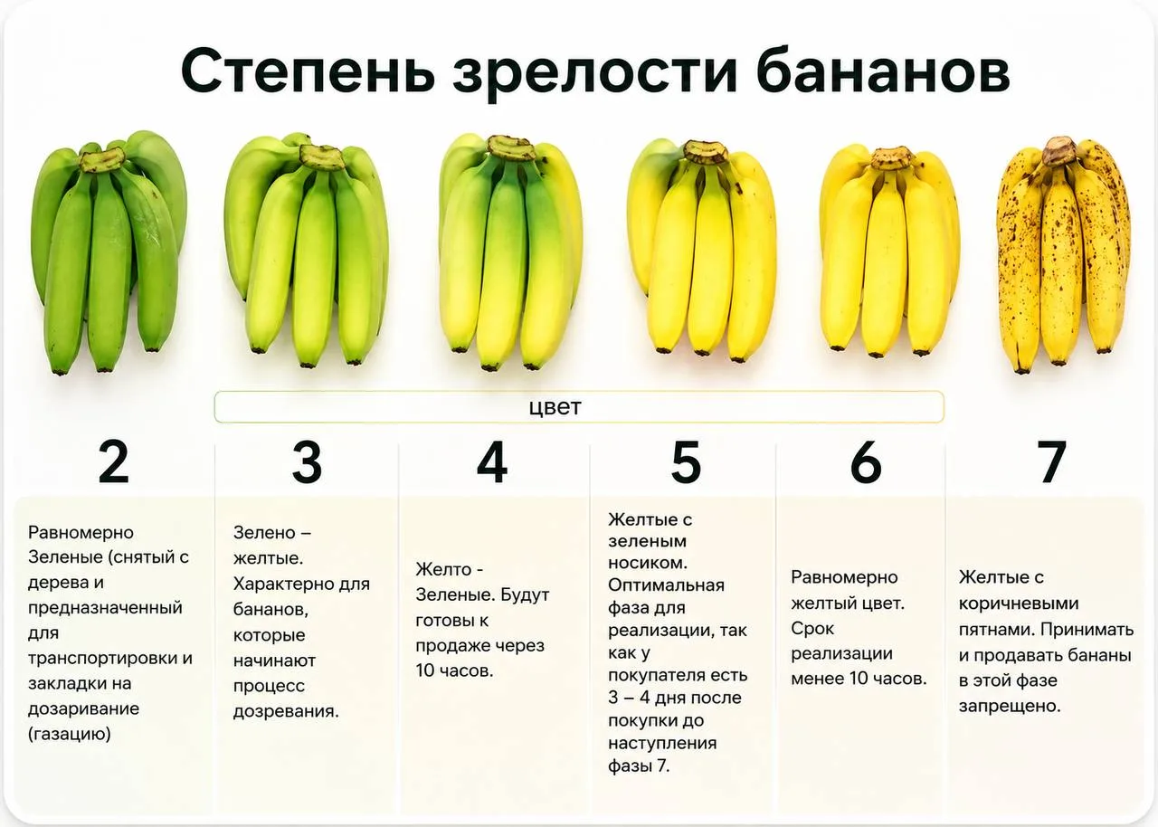 Немного про бананы и их фазы зрелости — какие в магазине покупать, а какие лучше вообще...