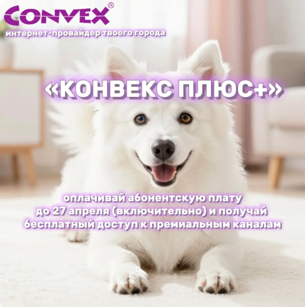 ⚡️До 27 апреля (включительно) абоненты Convex попадают в списки лицевых счетов программ...