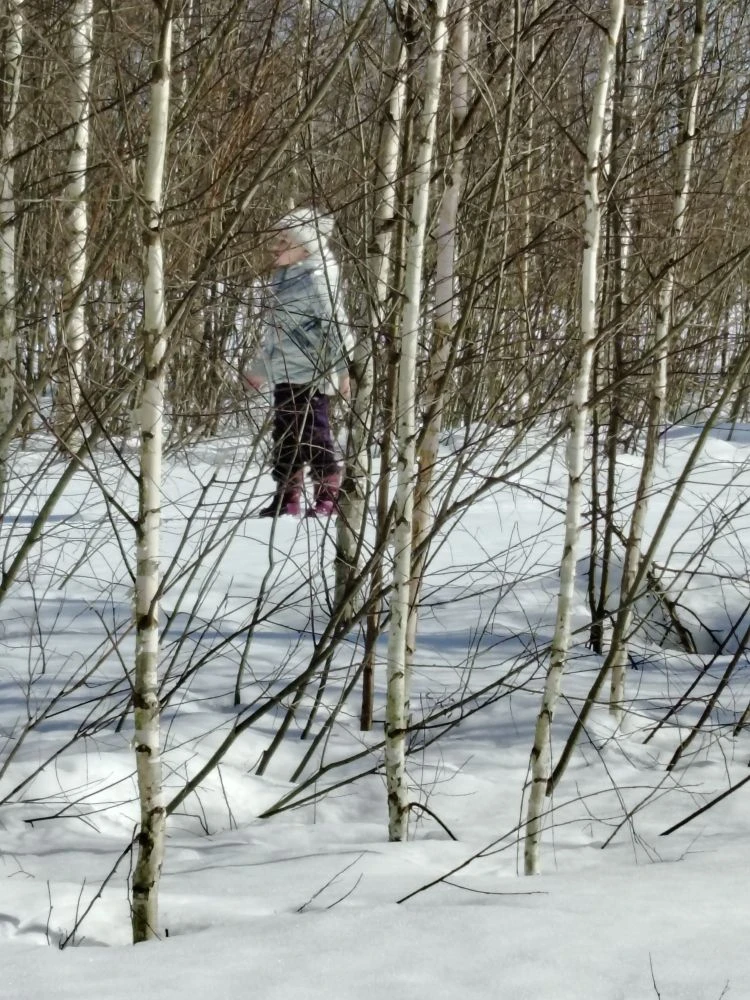 Только в деревне сейчас можно побегать по насту. Сходить в ближайший парк полюбоваться белой березко