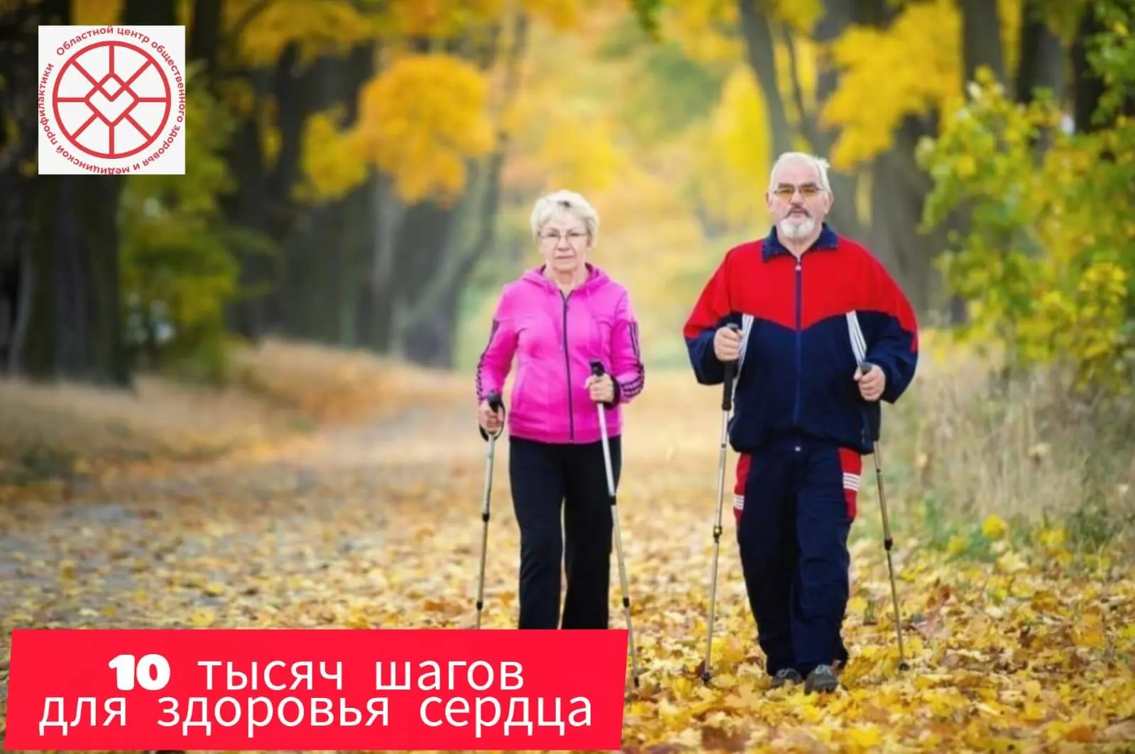 Знаете, какое самое простое и приятное лекарство для сердца? Обычная прогулка! Не нужен...