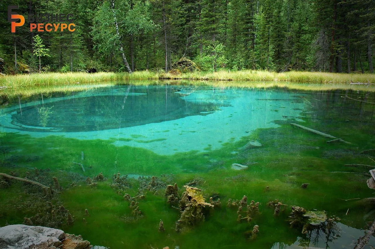 Доброе утро!