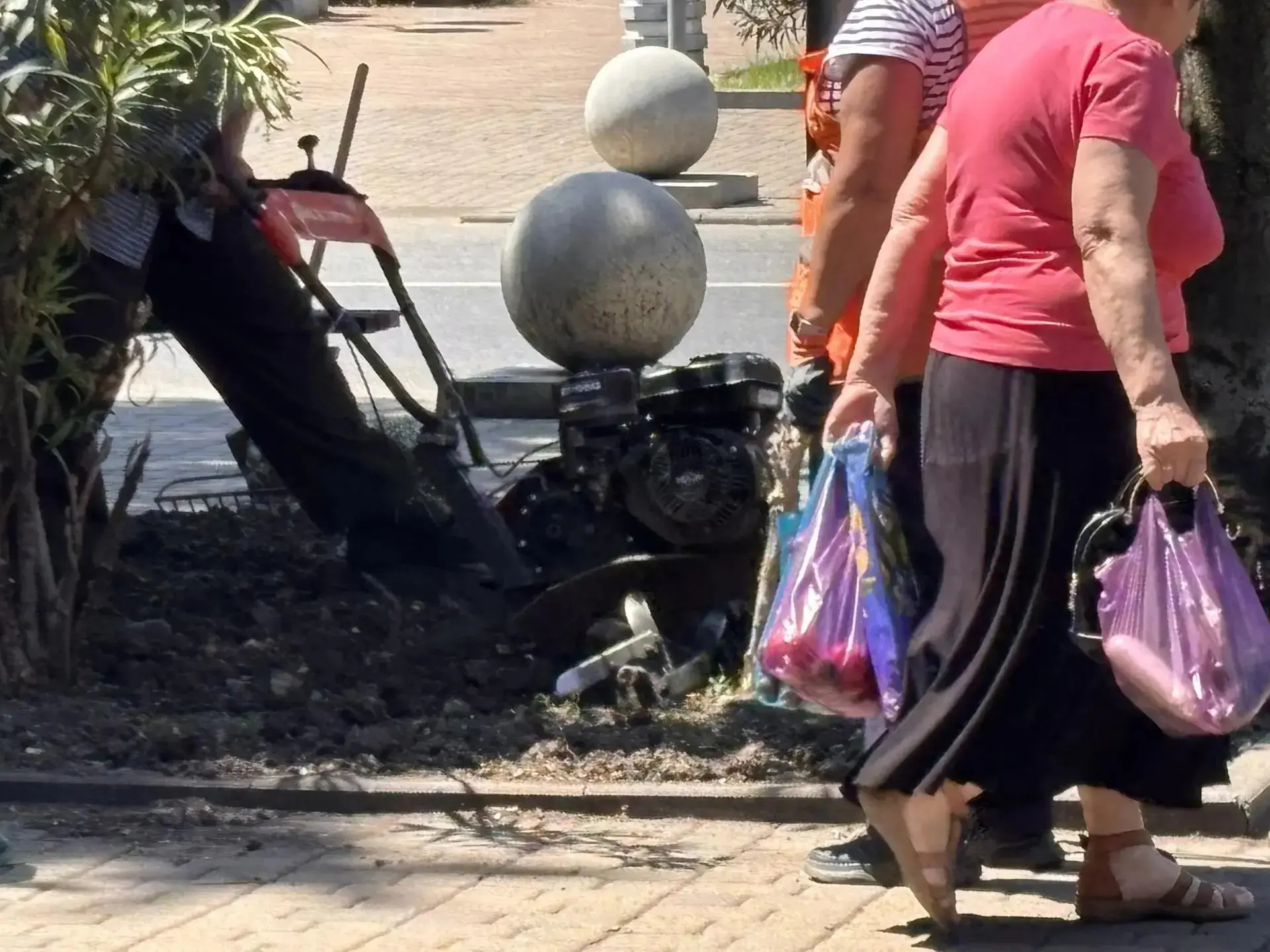 А на что вы готовы ради халявы, если вдруг захотелось вырастить тюльпан?

В Туапсе озеленители готов