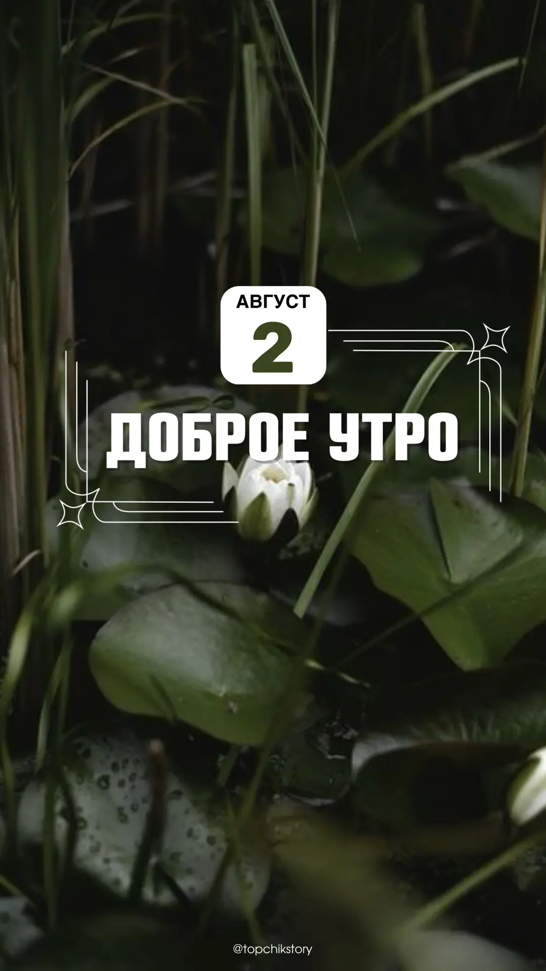 Картинки на каждый день 🤩
