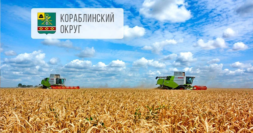 🌾 Кораблинские аграрии намолотили более 100 тыс. тонн зерна