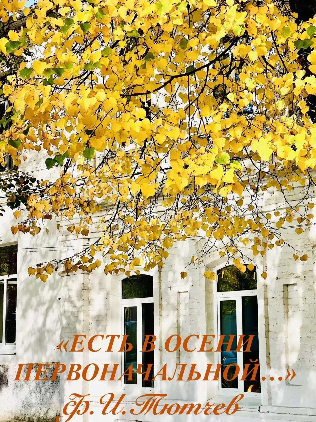 🍂✨ Осень пришла и в наш колледж! ✨🍂