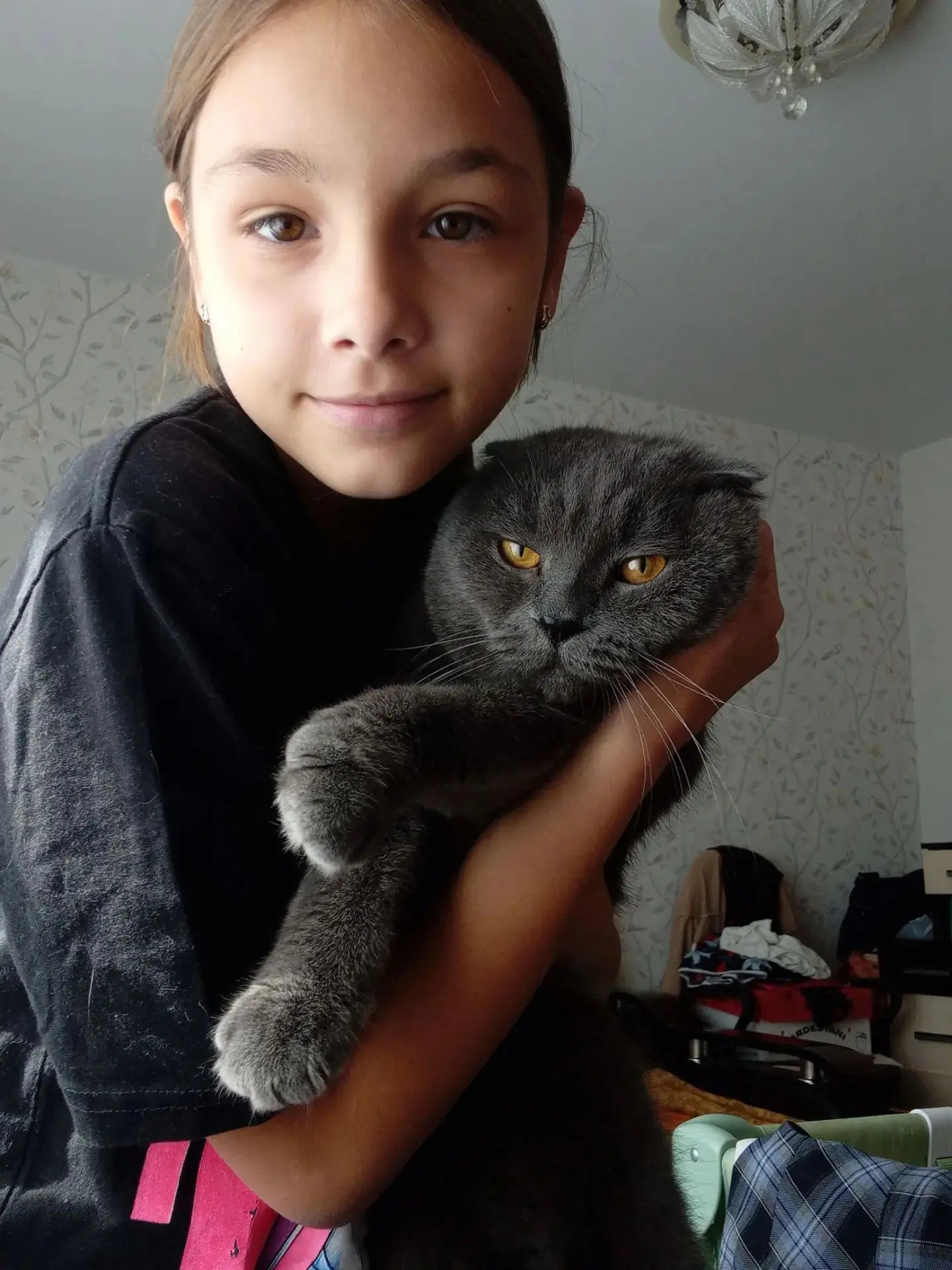 🐾 «Мы в ответе за тех, кого приручили»🐾