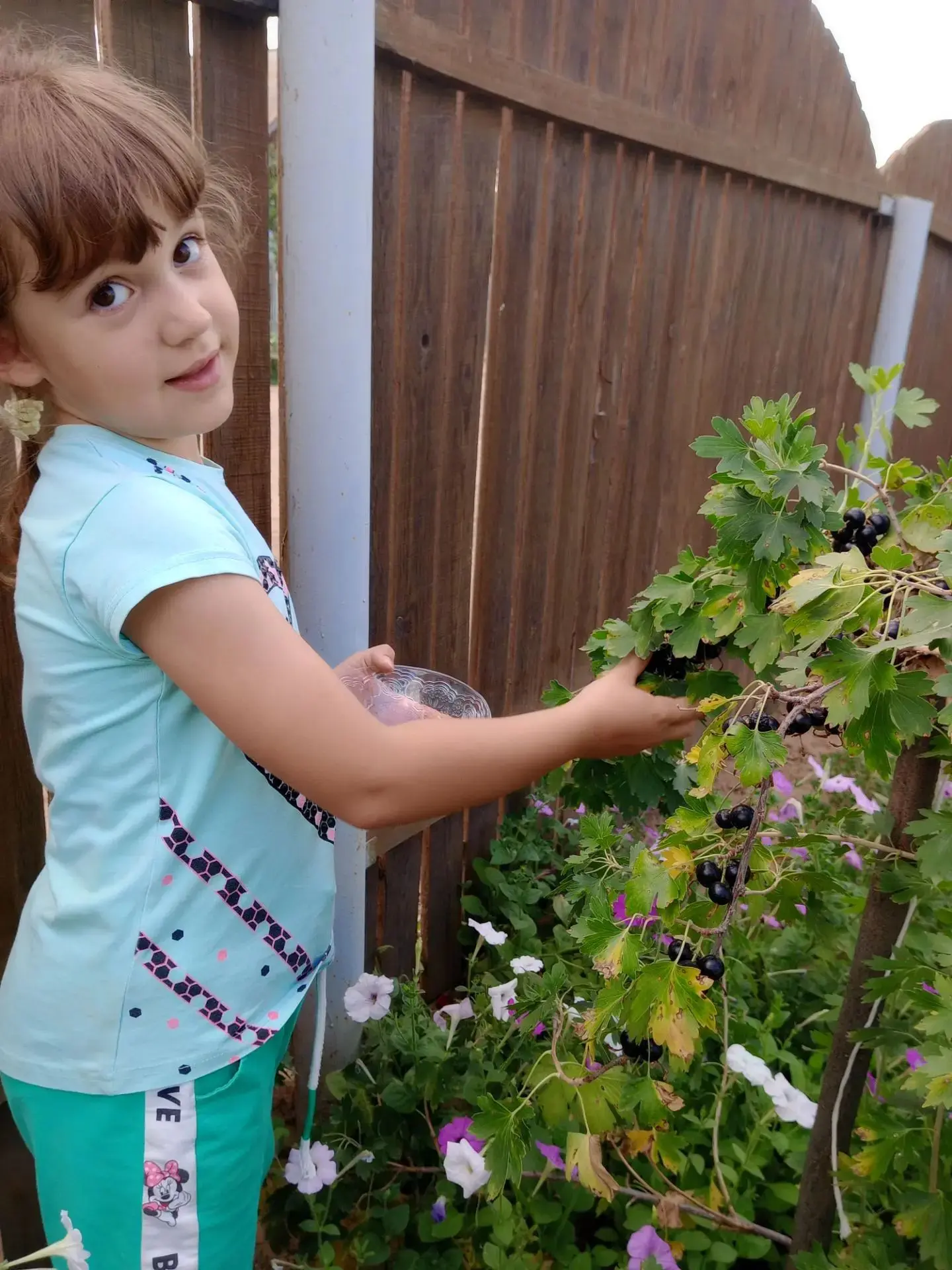 🍇 «Смородина объединяет: наш фоточеллендж» 🍇