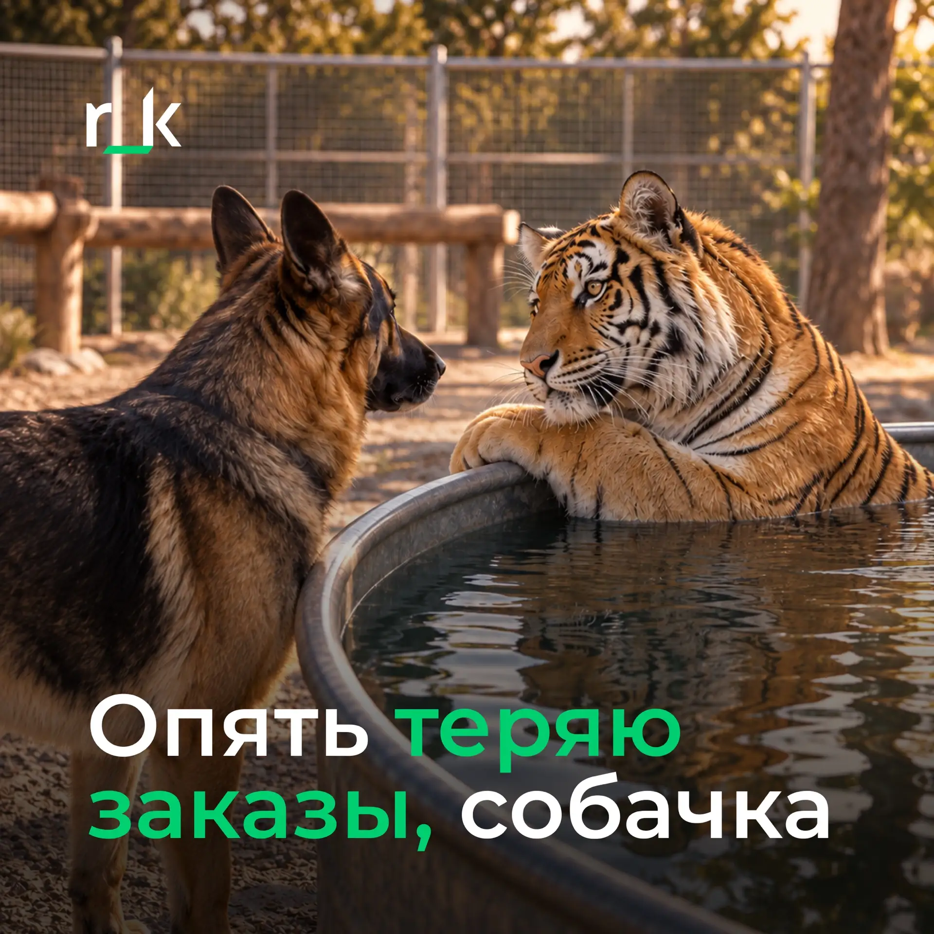 У тигра заказы теряются, а у собачки нет