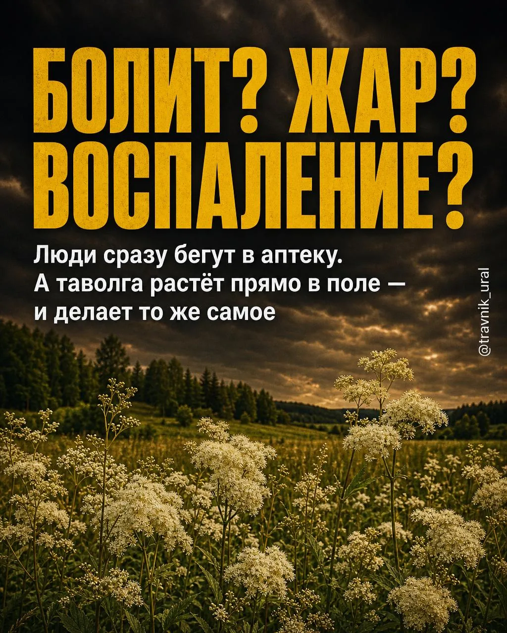 Всем здоровья и отличной пятницы! ☘️