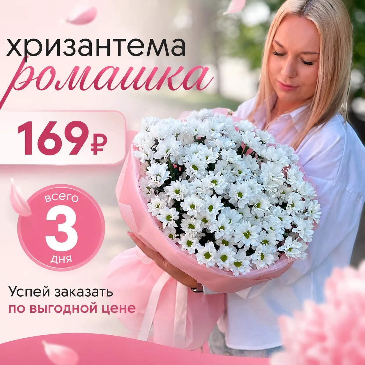 Хризантема всего по 169 рублей, символизирующие лето, по самой выгодной цене в городе. Пиши : https: