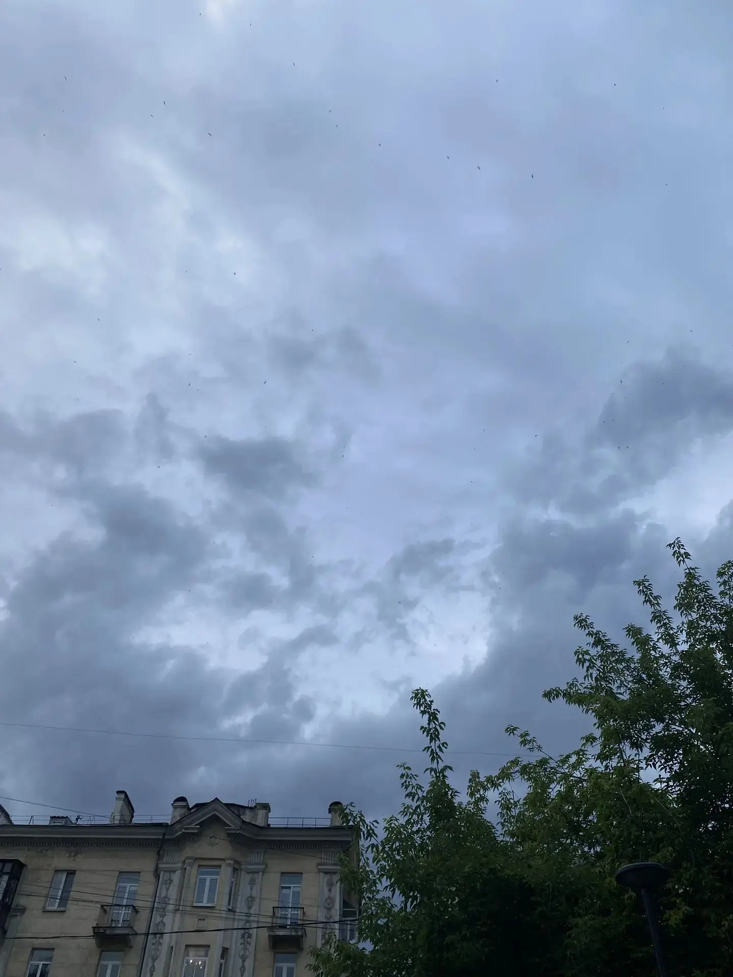«☔️Говорят, завтра тоже будет дождь. Так что сильно не расслабляемся 😌»

Напутствие и фото Евгении 