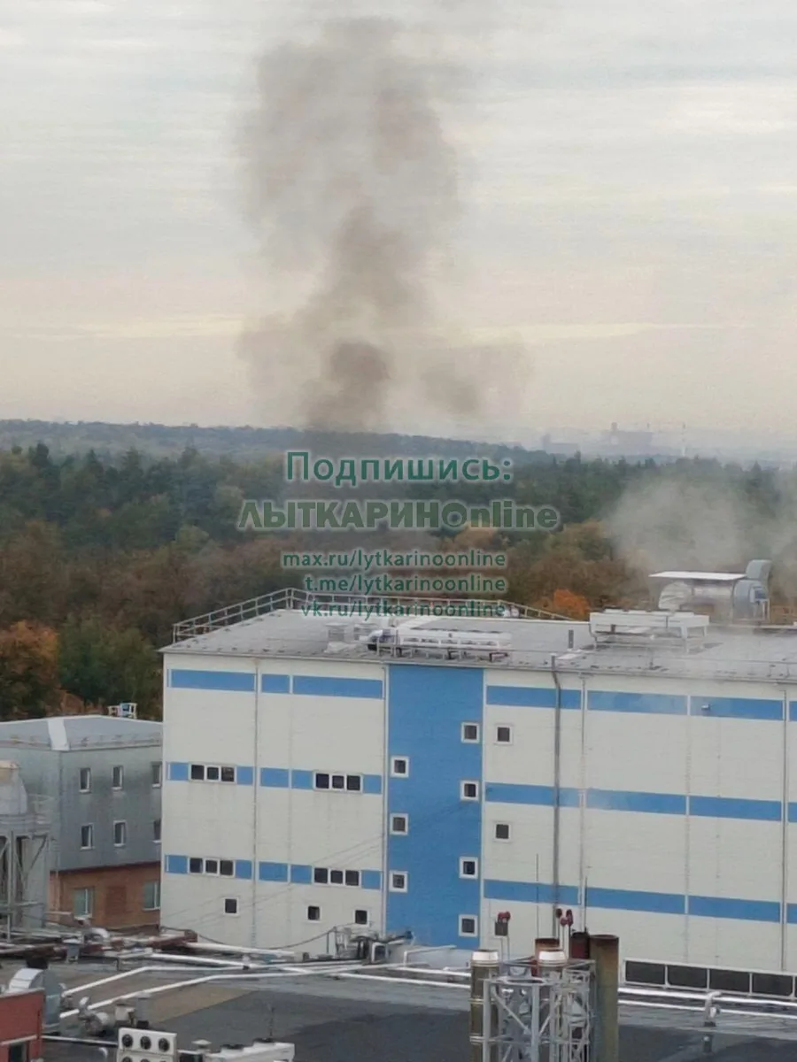 В Петровском снова воняет гарью, как ночь, выходной постоянно что-то жгут.
