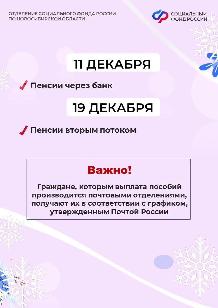 Публикуем для вас график выплат пенсий и пособий в декабре по линии Отделения СФР по Новосибирской о