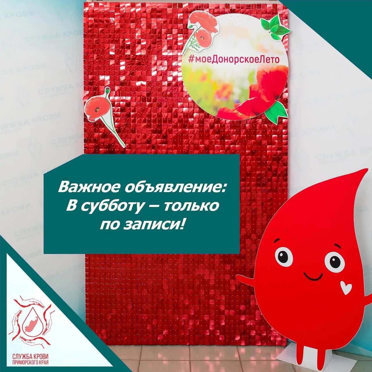 🌼 Ближайшая рабочая суббота #моеДонорскоеЛето состоится 27 июня во Владивостоке, в Усс...