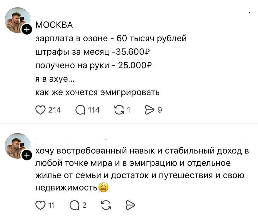 Упершись в свой потолок пикалки товаров на Озоне/Вб, каждый зумер вместо того, чтобы качать свои нав