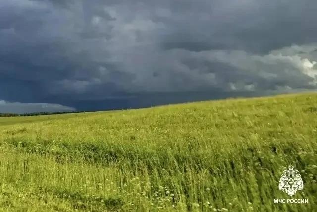 ❗️Гроза! #погода