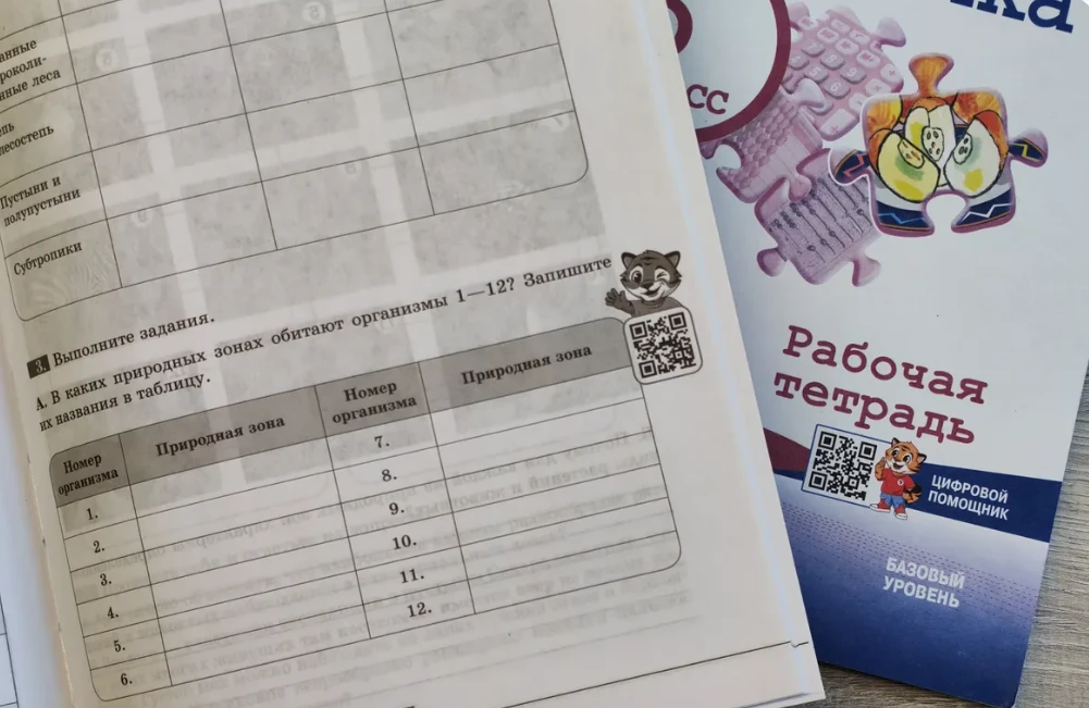 «Просвещение» объявило награду за информацию о производителях контрафакта

Издательство «Просвещение