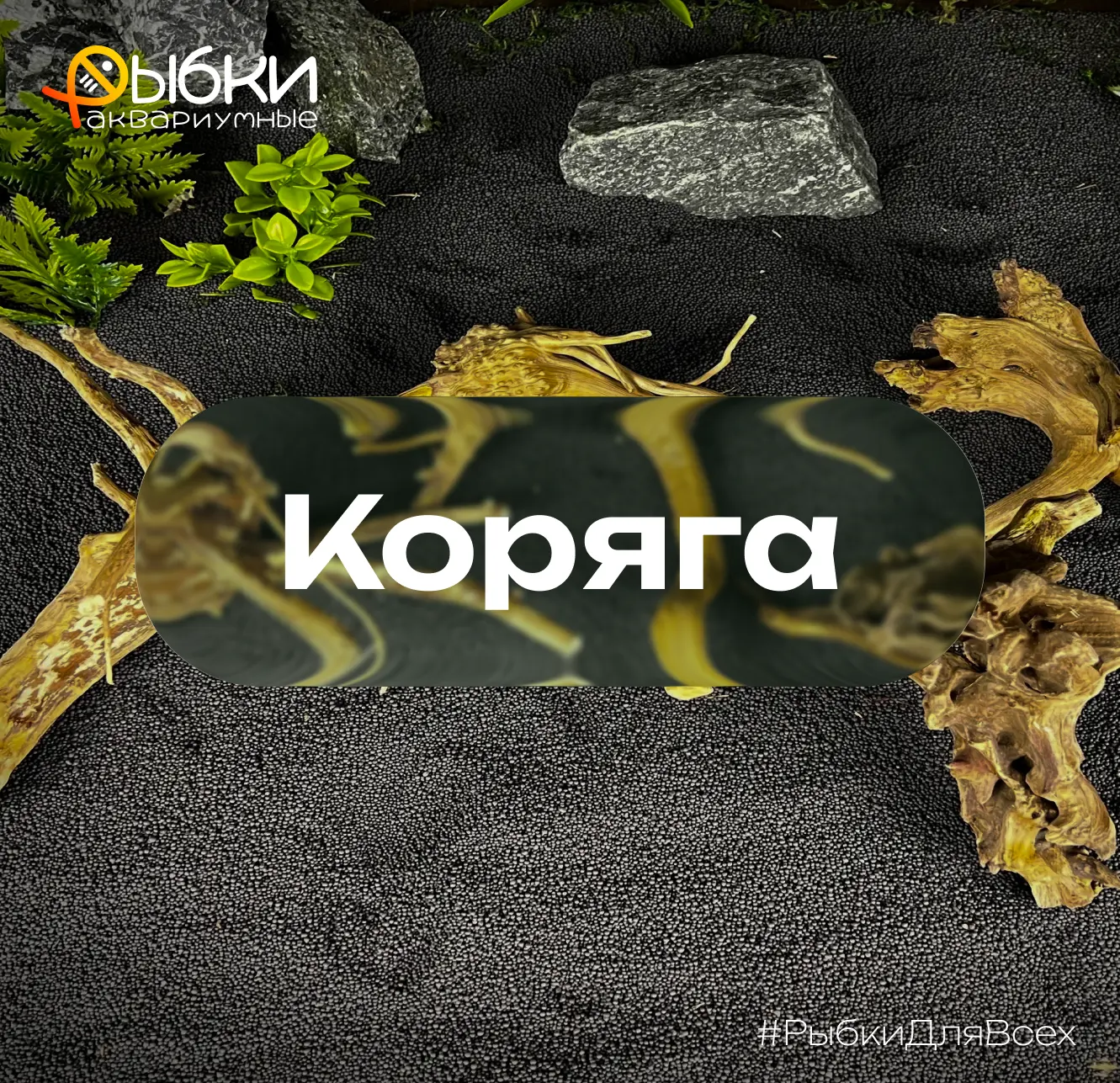 👉🏼🪾И красиво, и полезно! 

Коряги в аквариуме — не только декор. Они создают естественную среду д