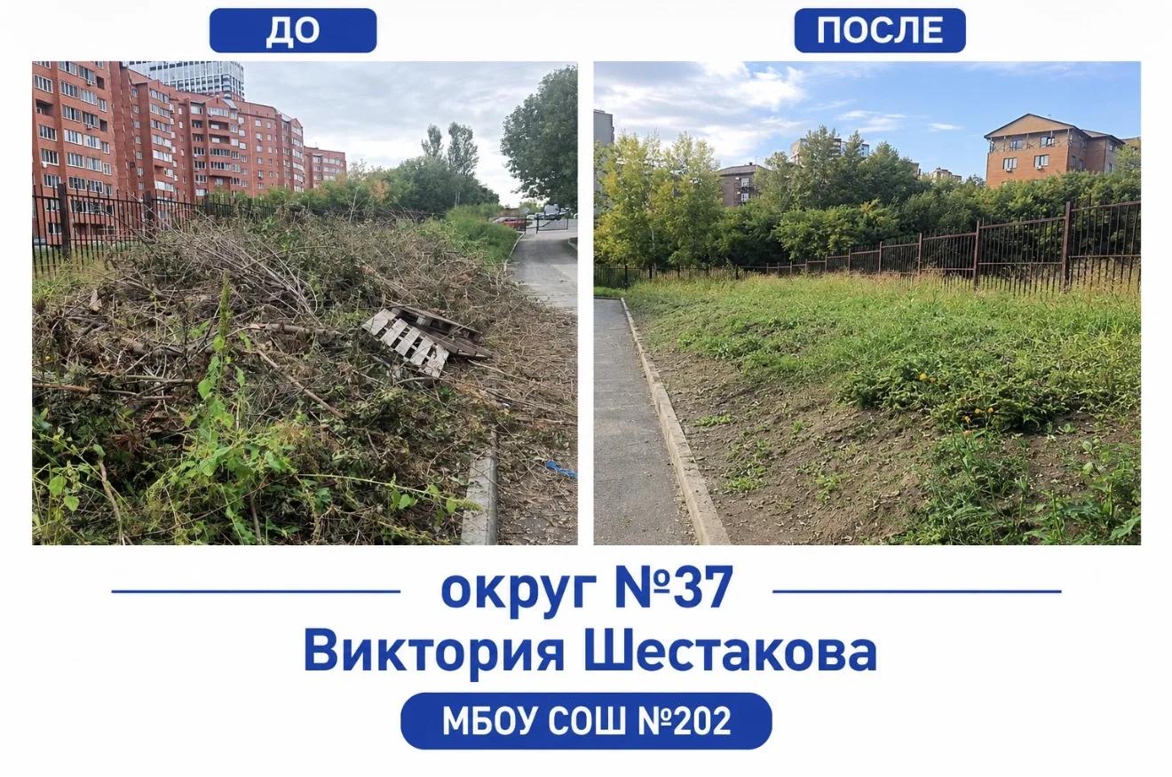 🌳 На территории МБОУ СОШ №202 силами школы были спилены деревья. Чтобы участок не был ...