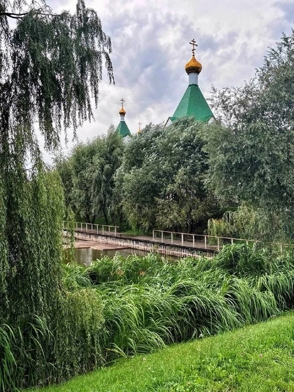 Суздальский пруд в районе Новокосино. Фото — lesinkha. Отличное место для прогулки 🌿📷