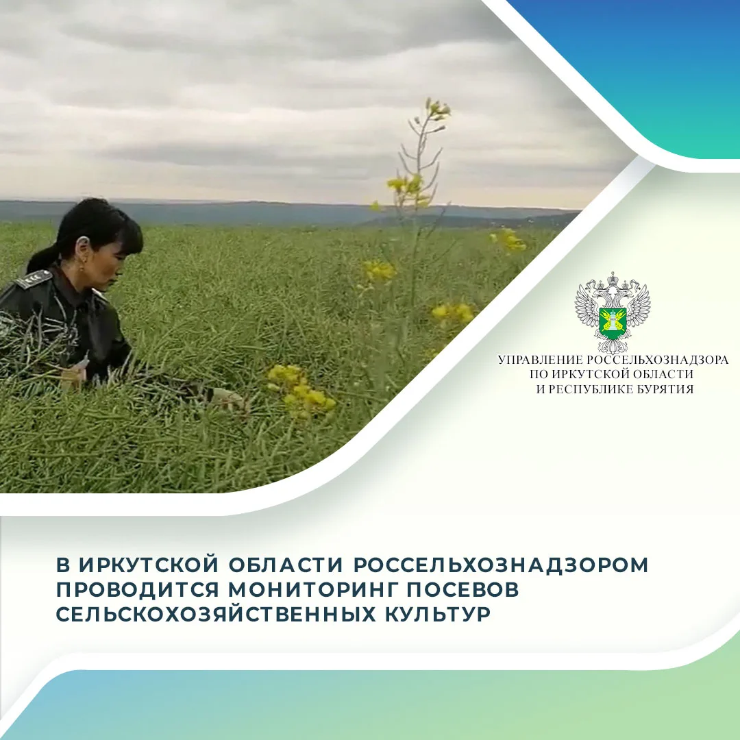 18 августа 2026 года Управлением Россельхознадзора по Иркутской области и Республике Бу...