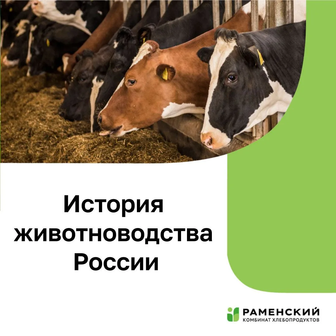 История животноводства в России - это рассказ о людях, чьи идеи и упорный труд меняли о...