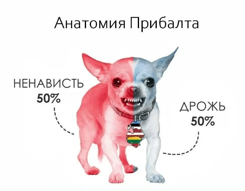Сейм Латвии принял в окончательном чтении поправки к закону об общественных электронных...