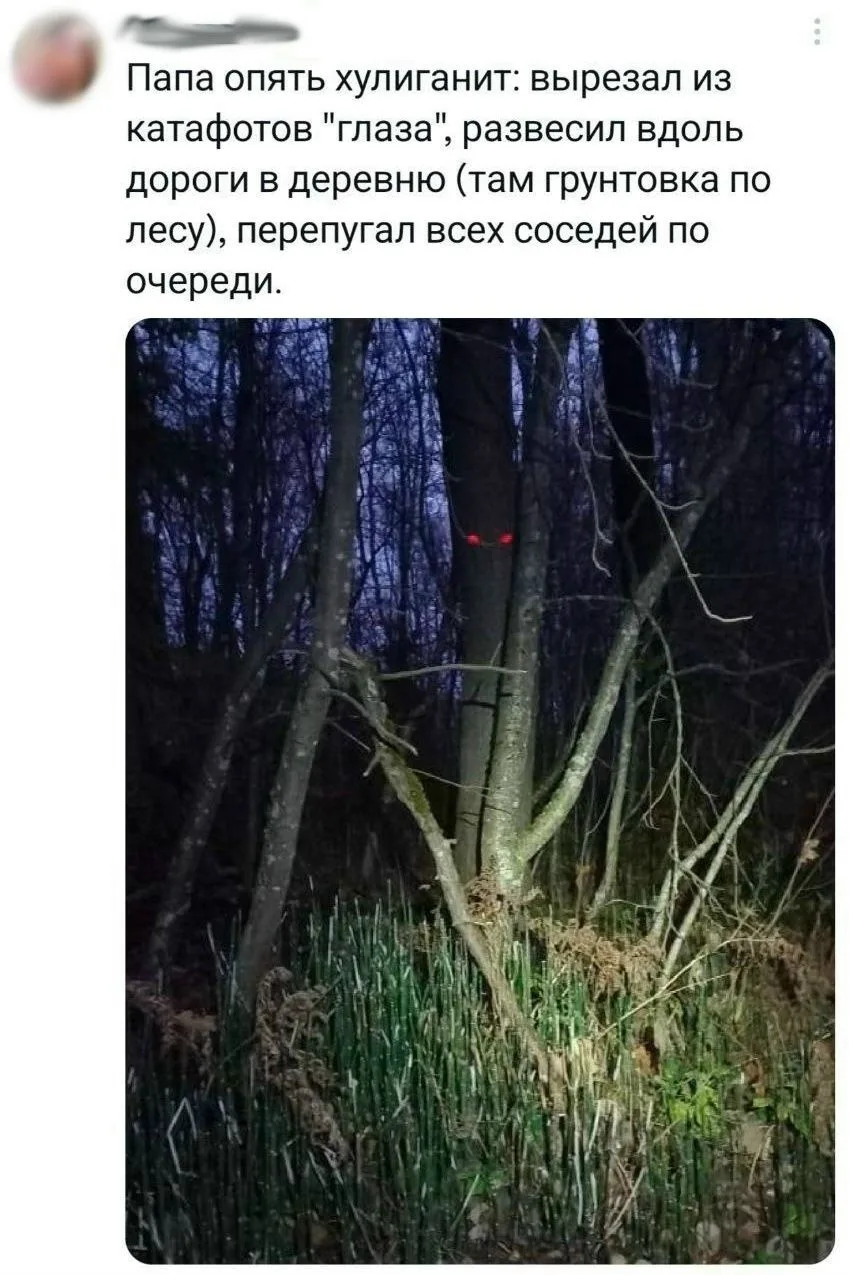 Отец-молодец