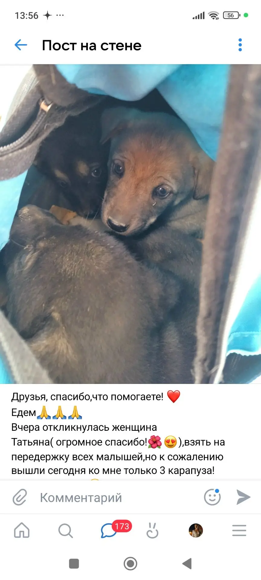 Друзья хочу рассказать вам  свою историю. Может, кому-то сейчас тяжело, и она поможет.