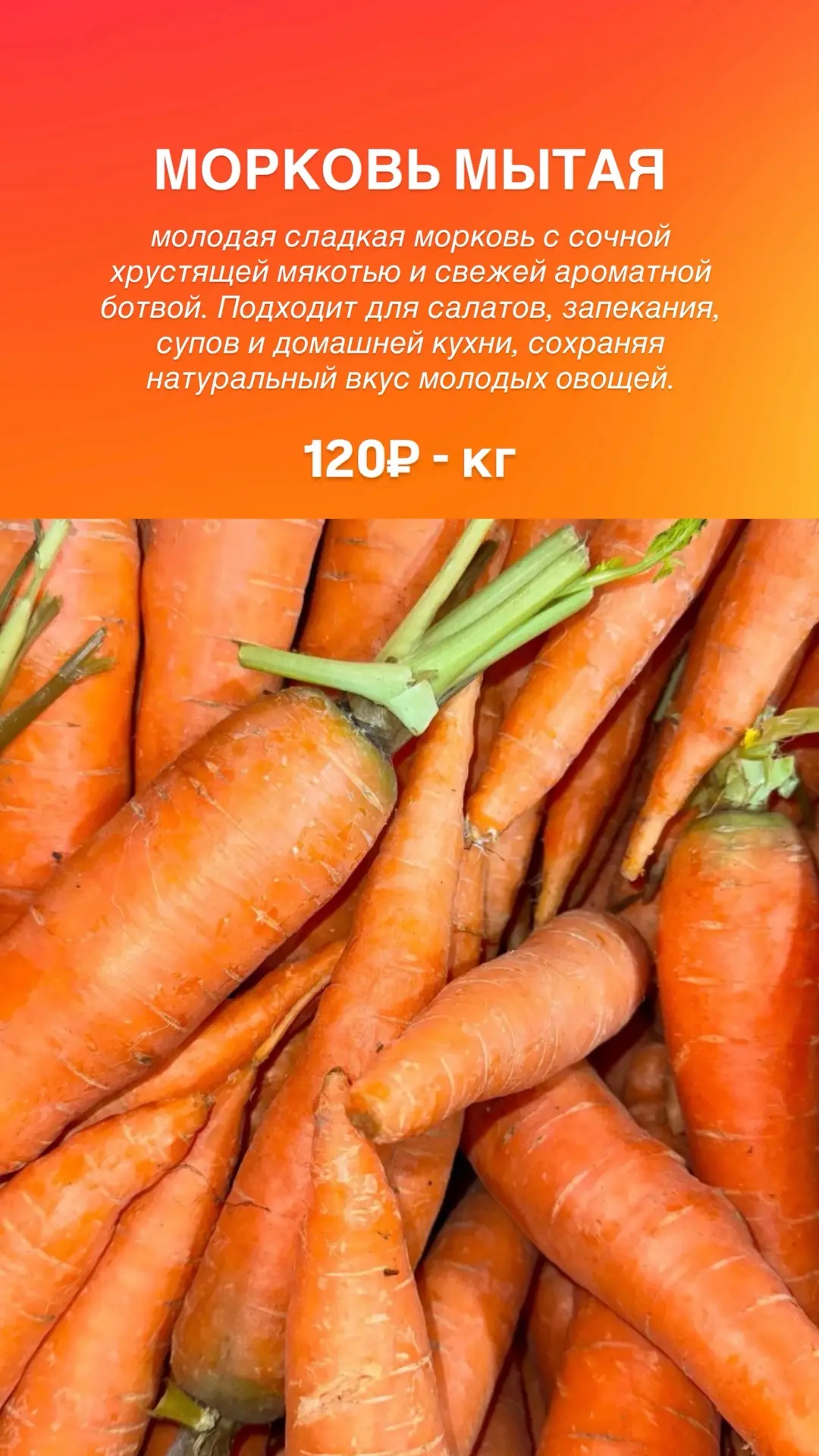 СЕЙЧАС СЕЗОН