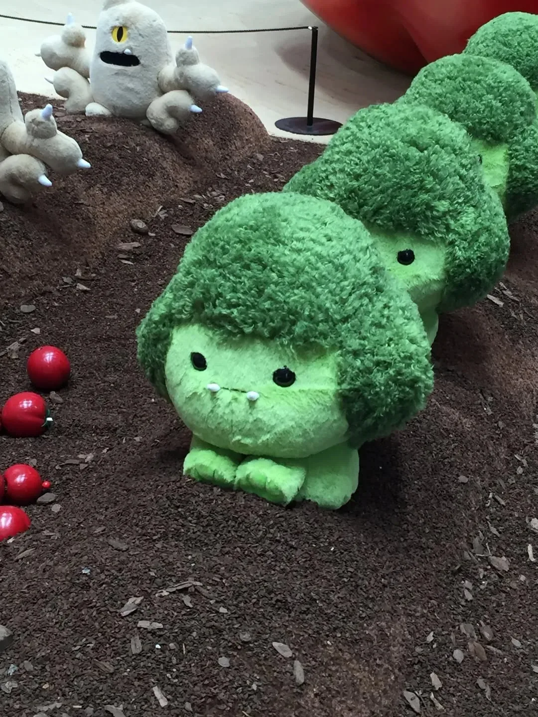 Корейский бренд Gentle Monster выпустил на продажу коллекцию Veggie Collection. 
В качестве оформлен