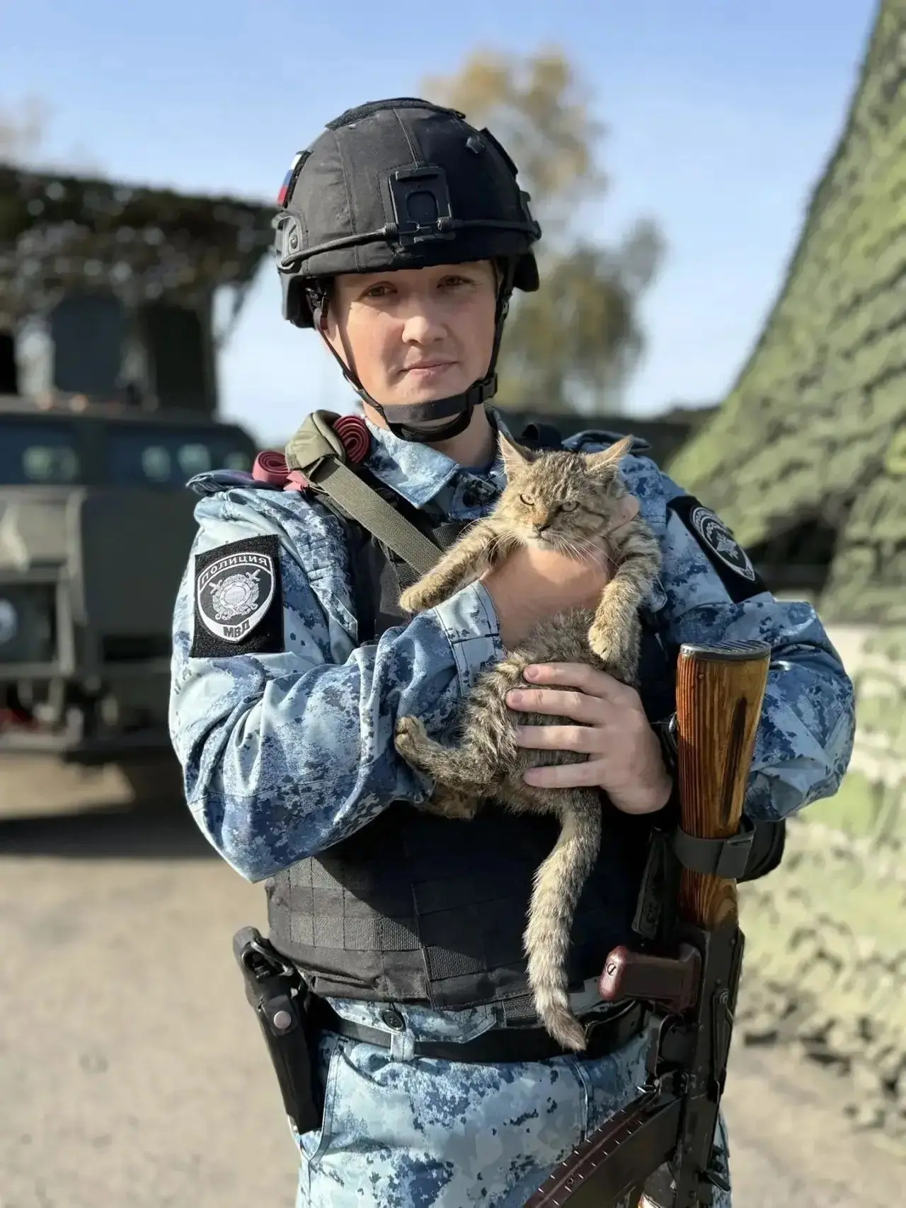 😍 Не грызет, не царапается и не шалит — напарник, о котором можно только мечтать