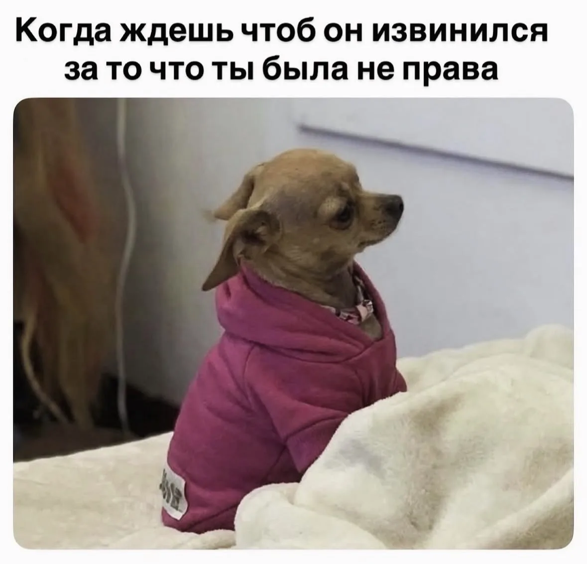 Все девочки такие?