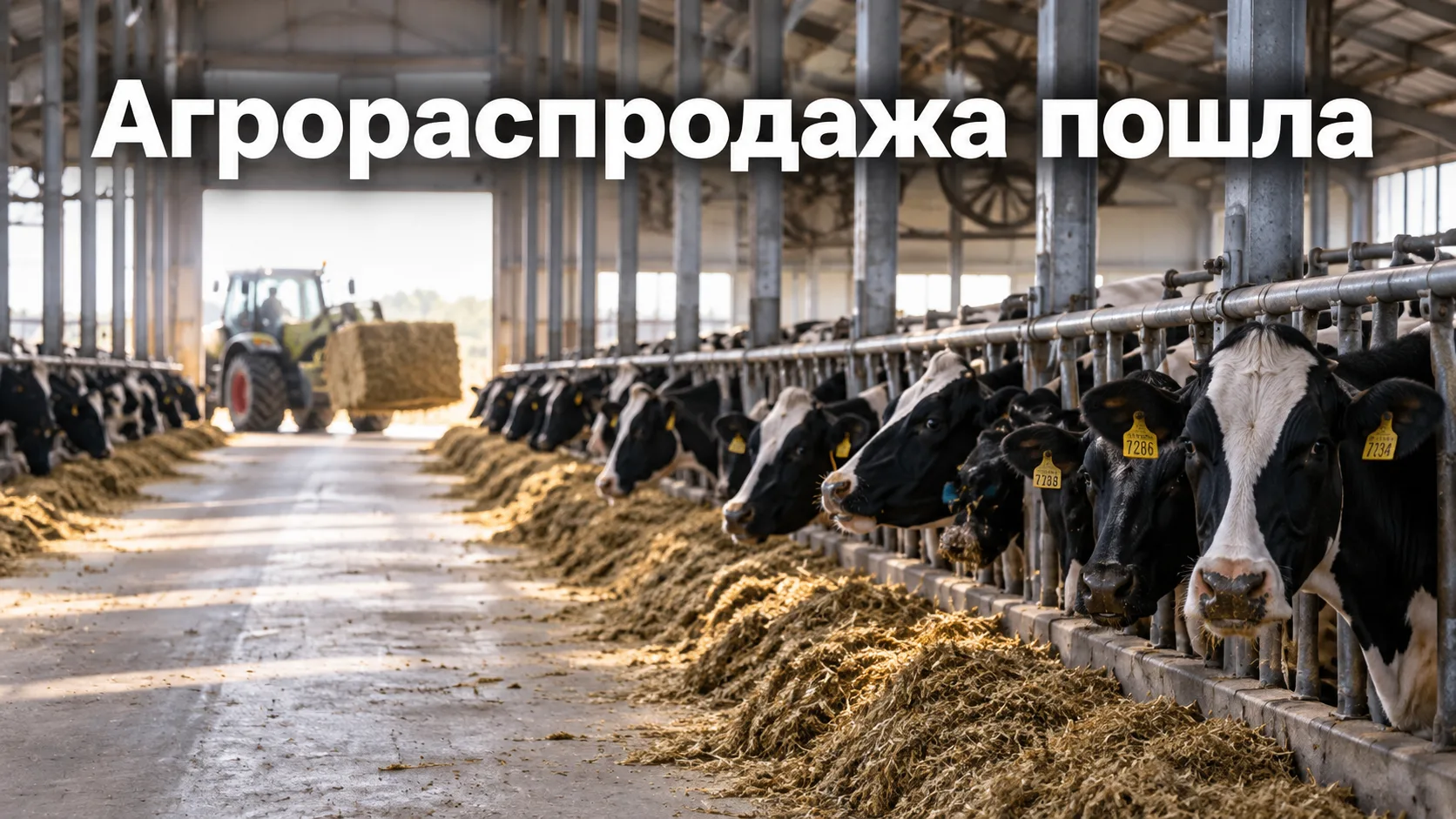 КУПИТЕ ХОЗЯЙСТВО. СРАЗУ ЧЕТЫРЕ СЕЛЬХОЗПРЕДПРИЯТИЯ ВЫСТАВИЛИ НА ТОРГИ