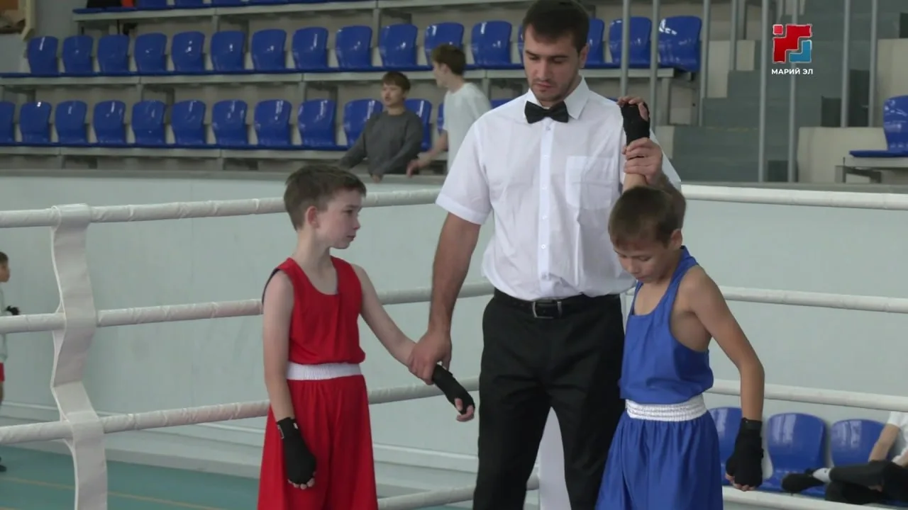 🥊 Здесь не бывает пробных ударов – каждый выход на ринг становится проверкой на прочно...