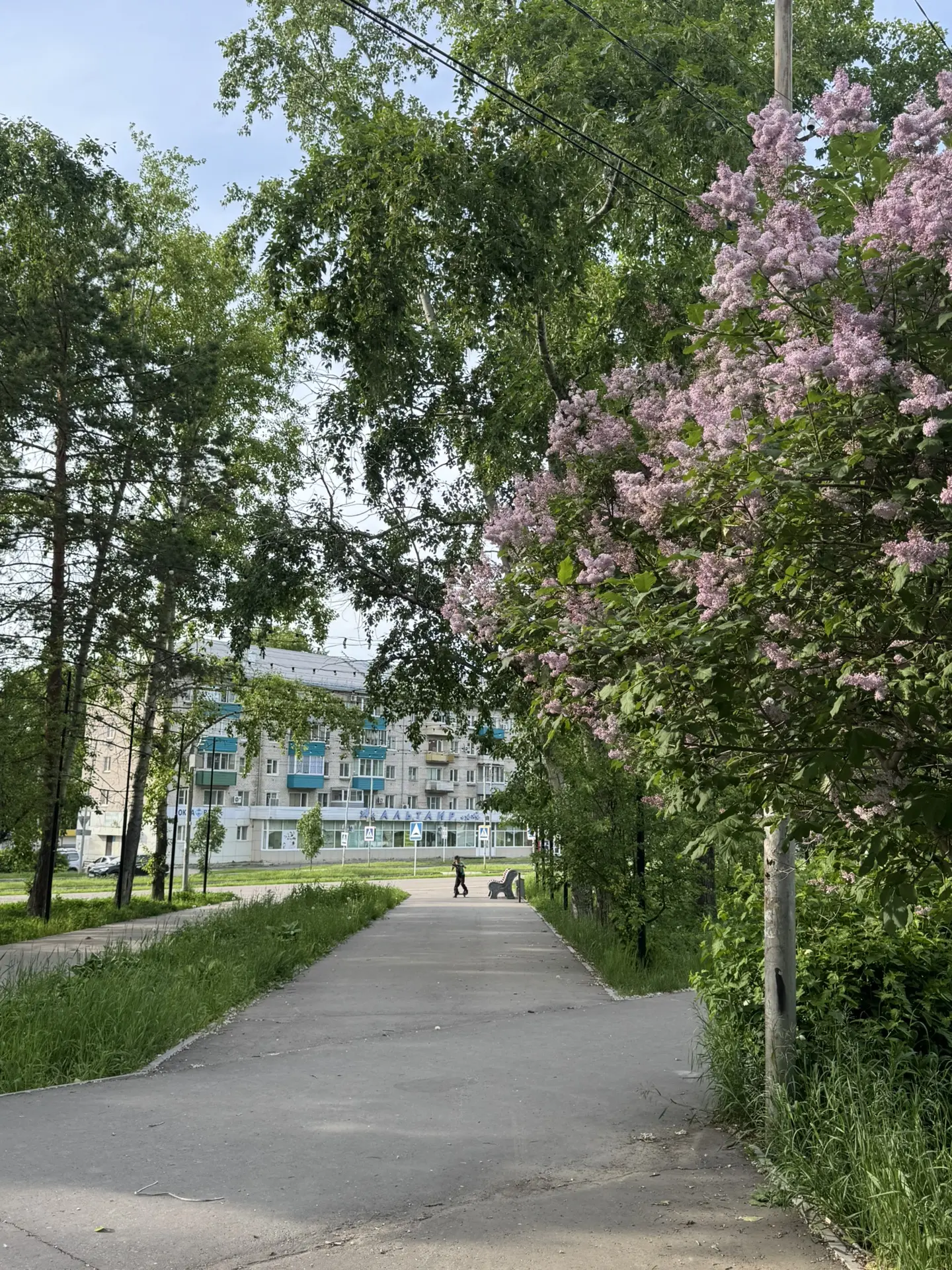 Доброй пятницы, аМУРчики ❤️