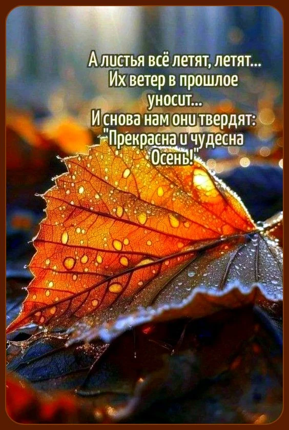 Милые открытки 😊 подписаться